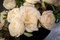 Italian Coppa English Roses Set Arrangement Composition from VGnewtrend 4