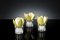 Italian Eternity Segnaposto Lotus Flower Set Arrangement Composition from VGnewtrend 2