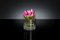 Italian Eternity Segnaposto Lotus Flower Big Set Arrangement Composition from VGnewtrend, Image 2