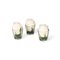 Segnaposto Eternity Boccoli Touch Rose Set Arrangement di VGnewtrend, Italia, Immagine 1