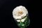 Italian Eternity Segnaposto Open Rose Set Arrangement Composition from VGnewtrend, Image 3
