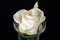 Italian Eternity SEGNAPOSTO MINI ROSE Arrangement from VGnewtrend, Image 3