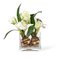 Italienische Eternity Viereckige Bulbo Amaryllis Set Komposition von VGnewtrend 1