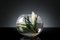 Italian Eternity Oval Bromelia Set Arrangement Composition from VGnewtrend, Image 2