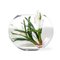 Composition de l'Arrangement Eternity Oval Bromelia de VGnewtrend, Italie 1