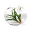 Italian Eternity Oval Bromelia Set Arrangement Composition from VGnewtrend, Image 1