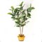 Italian S Gold Atollo Ficus Set Arrangement Composition from VGnewtrend 1