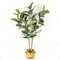 Italian S Gold Atollo Ficus Set Arrangement Composition from VGnewtrend, Image 1