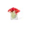 Italian Eternity Segnaposto Poppy Cube Set Arrangement Composition from VGnewtrend, Image 1