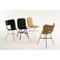 Ral Color Seat Gold 4 Legs Tria Chair by Colé Italia 4