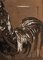 Matita su carta, gallo nero e marrone, XX secolo, Immagine 3