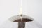 Large Light-Drops Globe Pendant Lamp from Raak Amsterdam, 1960s 4