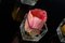 Composizione Eternity Segnaposto Tulip Rosa di VGnewtrend, Immagine 2