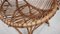 Mid-Century Shell-Shaped Chair in Rattan by Franco Albini, 1950s, Set of 4 4