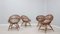 Mid-Century Shell-Shaped Chair in Rattan by Franco Albini, 1950s, Set of 4, Image 11