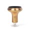 Glass Gold Leaf Athens Vase from VGnewtrend 1