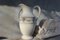 Antique Victorian Pitcher Jug from Villeroy & Boch, 1920s, Image 6