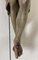 Antike französische handbemalte Jesus Christ Skulptur aus polychromen Gips 16