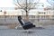 Black Swivel Lounge Chair by Carl Straub, 1960s 4