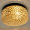 Textured Dots Glass Wall Light by Hillebrand, 1960s 14