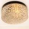 Textured Dots Glass Wall Light by Hillebrand, 1960s 3
