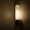 Opaque Glass and Brass Wall Light by Limburg, Germany, 1970s, Image 10