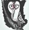 Jean Lurçat, Owl, Original Lithograph, 1948 2