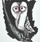 Jean Lurçat, Owl, Original Lithograph, 1948, Image 2