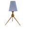 Mid-Century Table Lamp by Uluv Krasna Jizba, 1960s 1