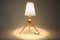 Mid-Century Table Lamp by Uluv Krasna Jizba, 1960s, Image 3