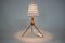 Mid-Century Table Lamp by Uluv Krasna Jizba, 1960s, Image 2