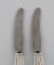 Rope Fruit Knives in Silver and Stainless Steel from Georg Jensen, Set of 2 3