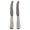 Rope Fruit Knives in Silver and Stainless Steel from Georg Jensen, Set of 2 1