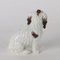 Porcelain Dog Figure from Meissen 8
