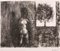 Jacques Busse, Nudo di donna con albero, Litografia originale, metà del XX secolo, Immagine 2