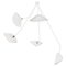 Modern White Five Curved Fixed Arms Spider Ceiling Lamp by Serge Mouille 1