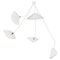 Modern White Five Curved Fixed Arms Spider Ceiling Lamp by Serge Mouille, Image 1