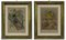 Emil Hochdanz, Insects, Original Lithographs, 1868, Framed, Set of 2 1