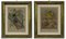 Lithographies originales Emil Hochdanz, Insectes, 1868, Set de 2 1