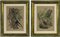 Emil Hochdanz, Insects, Original Lithographs, 1868, Enmarcado, Juego de 2, Imagen 1
