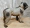 Victorian Terracotta Bulldog Statue 5