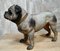 Statue de Bouledogue Victorienne en Terracotta 6