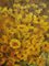 Hans Geissel, Daisies, Oil, Enmarcado, Imagen 9