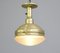 Brass Ceiling Light by Carl Zeiss Jena for Behr, 1920s 4