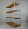 Industrial Shelves from Meier & Weichelt, 1920s 1