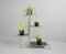 Bauhaus Plant Stand by Emile Guyot for Thonet, 1930s 10