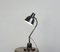 German Desk Lamp, 1930s 1