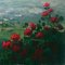 Renato Criscuolo, Towards Sorrento, Oil on Canvas, Framed, Early 2000s, Italy 4