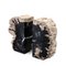 Opiol Petrified Wood Bookends by Pacific Compagnie Collection, Set of 2, Image 1