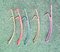 Curved Wall Hooks, 1950s, Set of 5 1